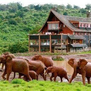 5 Days Samburu & Aberdare Safari