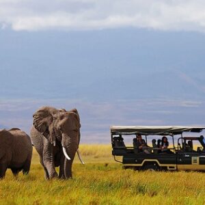 4 Days Tsavo East & Tsavo West Safari