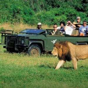 6 Days South Africa Highlights – Safari & City Escape