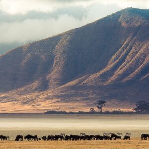 Tanzania